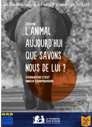 L’animal aujourd’hui - exposition tout public_Saint-Bonnet-en-Champsaur - L’animal aujourd’hui - exposition tout public_Saint-Bonnet-en-Champsaur L’animal aujourd’hui - exposition tout public_Saint-Bonnet-en-Champsaur - L’animal aujourd’hui - exposition tout public_Saint-Bonnet-en-Champsaur
