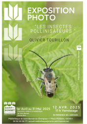 Exposition Les insectes pollinisateurs_Saint-Bonnet-en-Champsaur - Exposition Les insectes pollinisateurs_Saint-Bonnet-en-Champsaur Exposition Les insectes pollinisateurs_Saint-Bonnet-en-Champsaur - Exposition Les insectes pollinisateurs_Saint-Bonnet-en-Champsaur